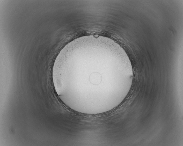 X0000112801153200910021114