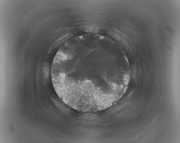 X0000112801154200910021114