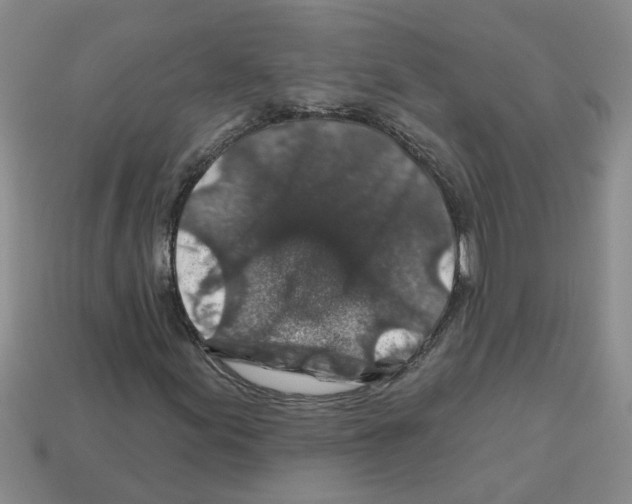 X0000112801155200910021114