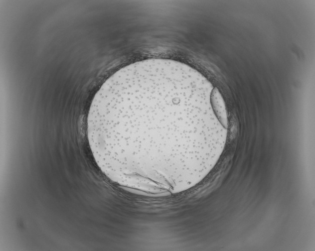 X0000112801156200910021114