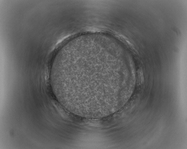 X0000112801158200910021114
