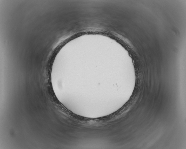 X0000112801160200910021114