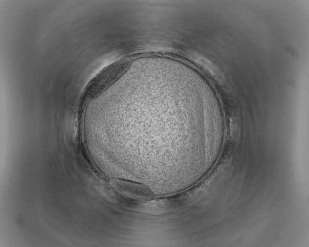 X0000112801165200910021114