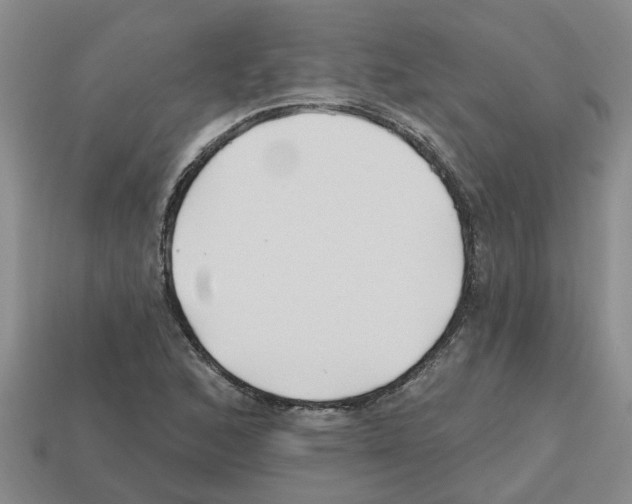 X0000112801168200910021114