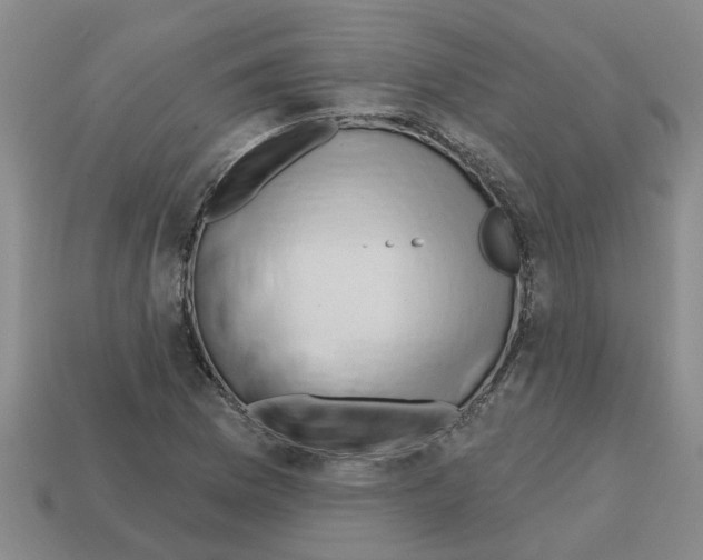 X0000112801169200910021114