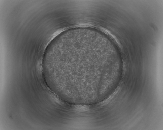 X0000112801170200910021114