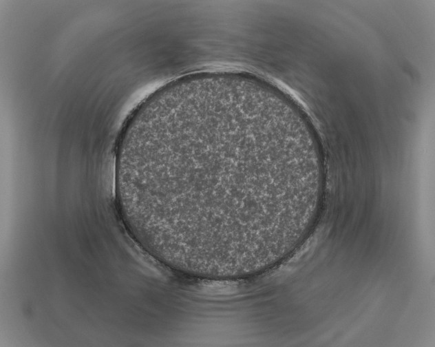 X0000112801171200910021114