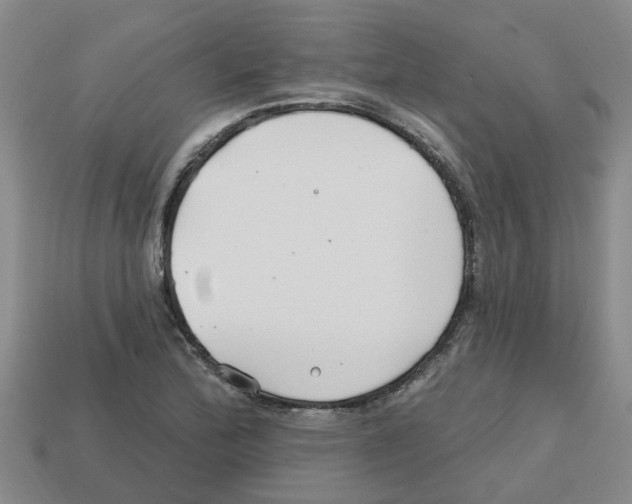 X0000112801172200910021114