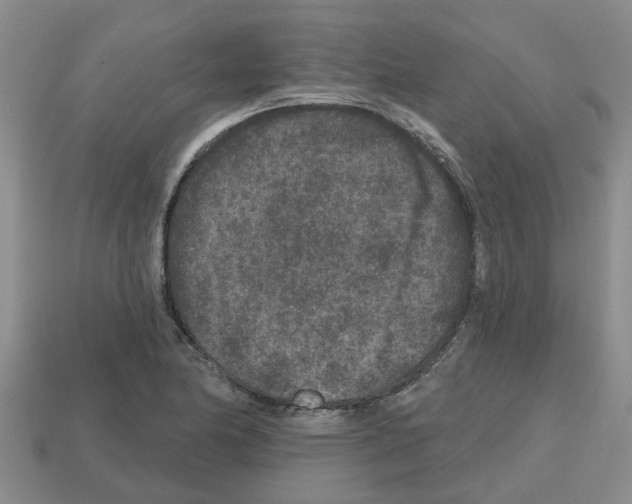X0000112801174200910021114
