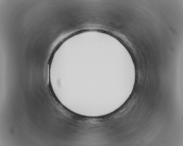 X0000112801175200910021114