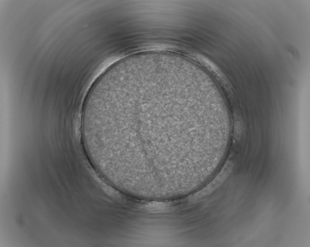 X0000112801178200910021114