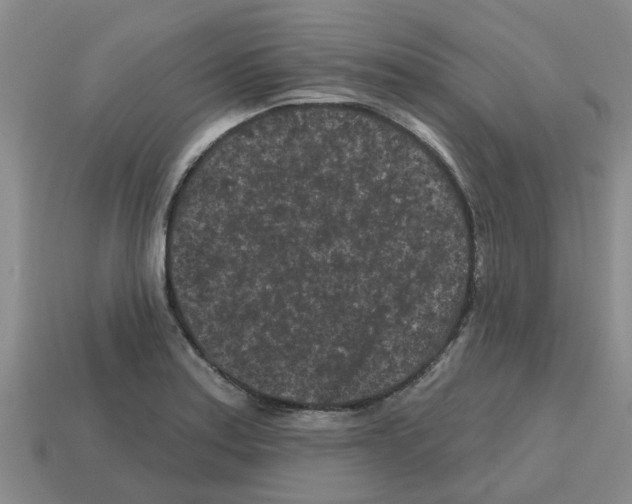 X0000112801179200910021114