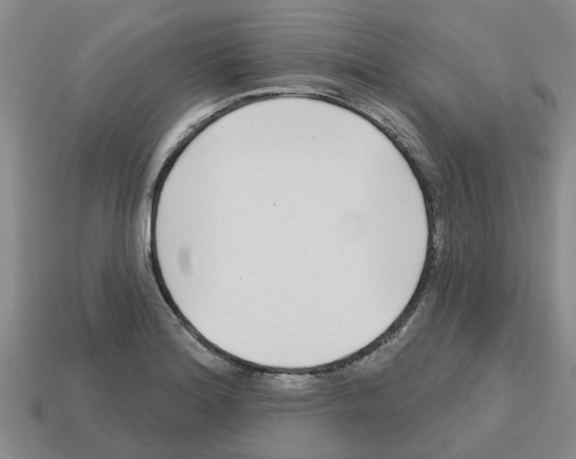 X0000112801180200910021114