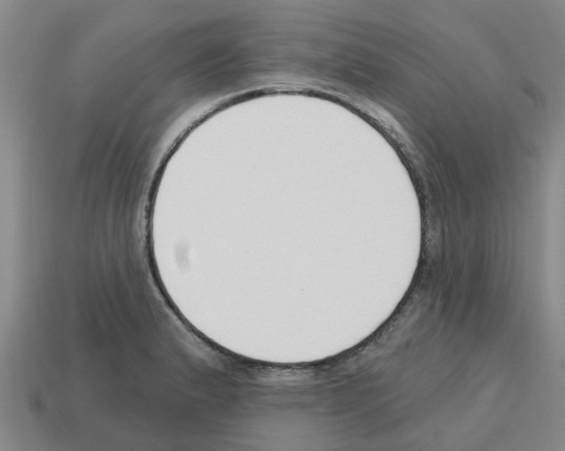 X0000112801183200910021114