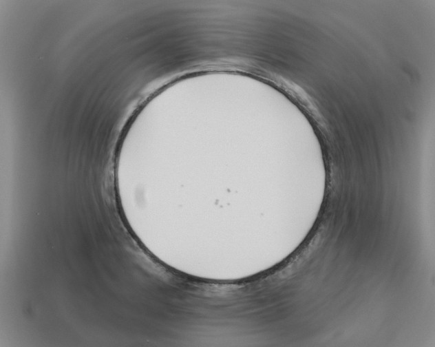 X0000112801184200910021114