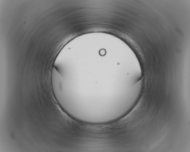 X0000112801185200910021114