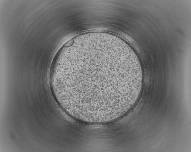 X0000112801186200910021114
