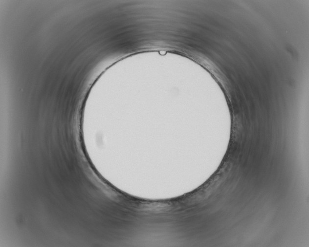 X0000112801187200910021114