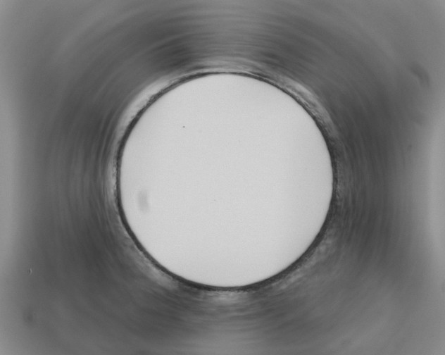 X0000112801188200910021114