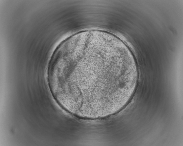 X0000112801189200910021114