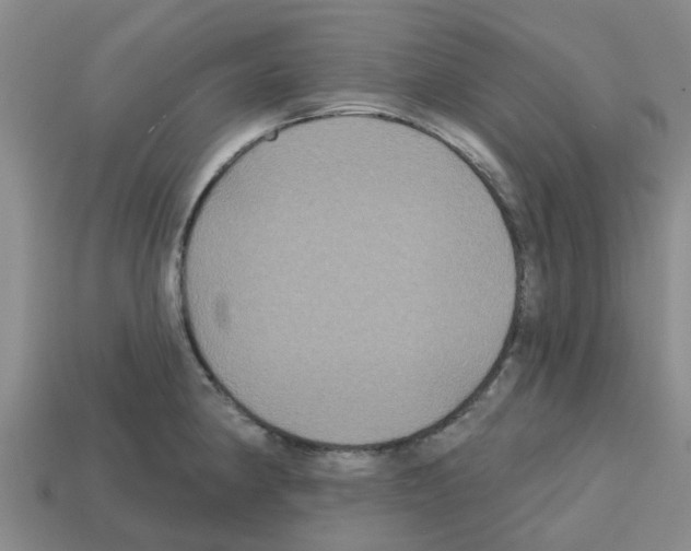 X0000112801190200910021114
