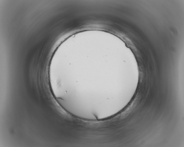 X0000112801192200910021114