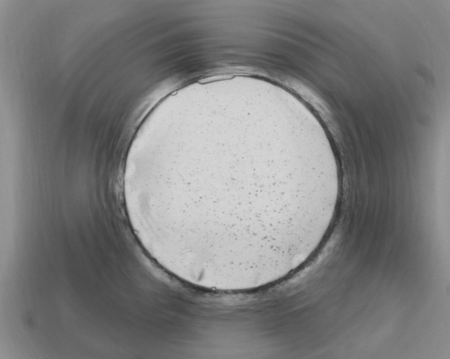 X0000112801193200910021114