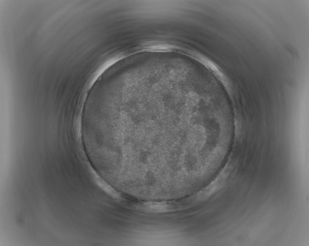 X0000112801194200910021114