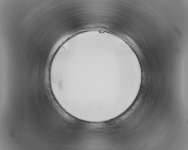 X0000112801196200910021114