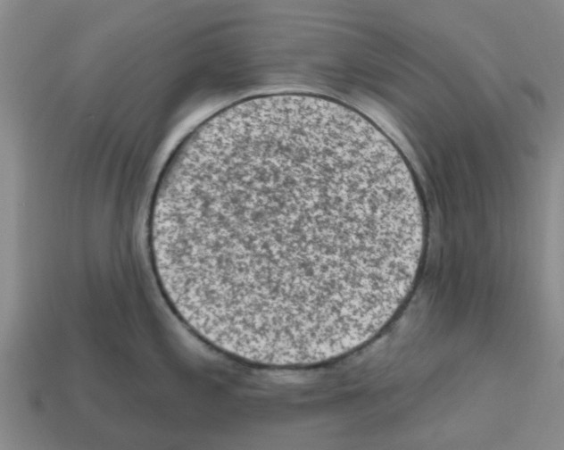 X0000112801197200910021114