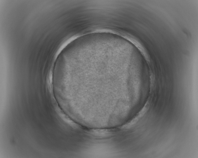 X0000112801198200910021114