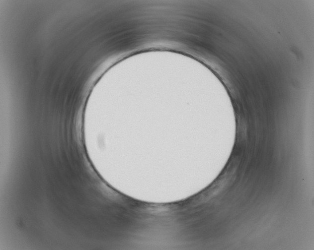 X0000112801199200910021114