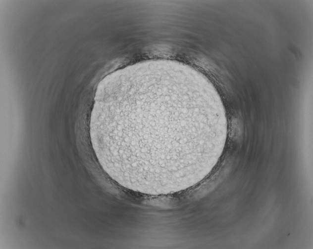 X0000112801201200910021113