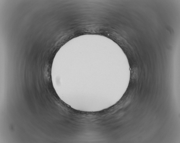 X0000112801202200910021113