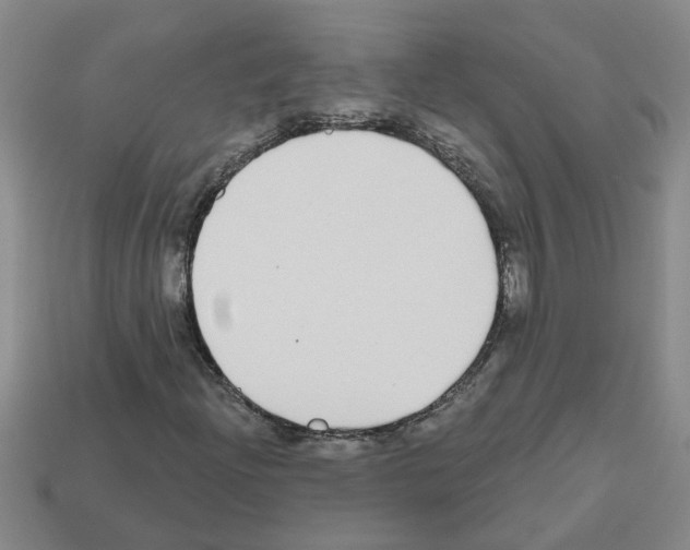 X0000112801204200910021113