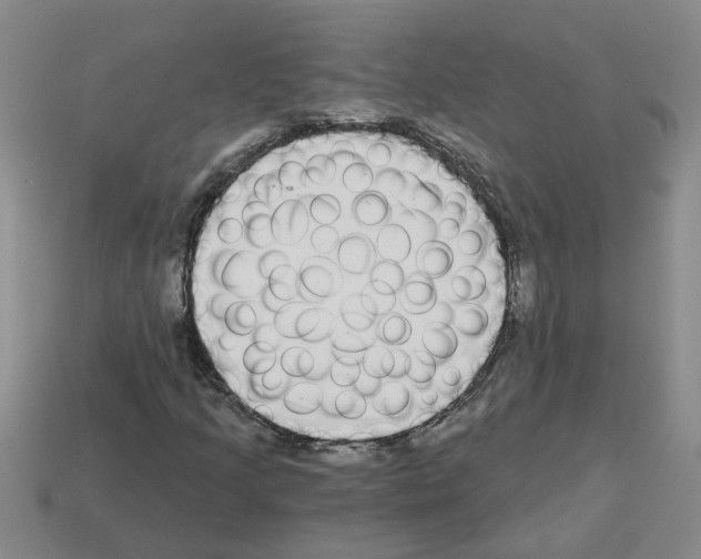 X0000112801205200910021113