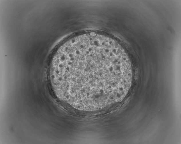 X0000112801208200910021113