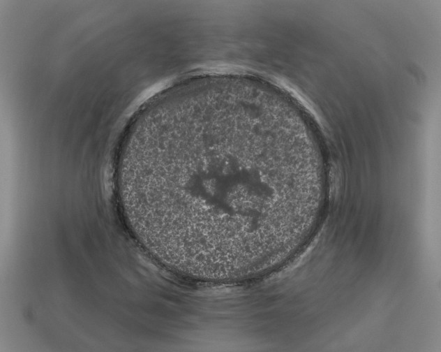 X0000112801213200910021113