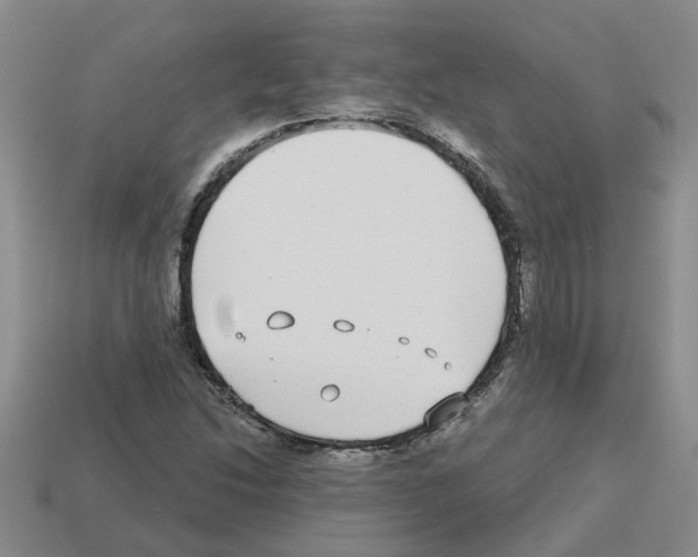 X0000112801214200910021113
