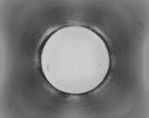 X0000112801215200910021113