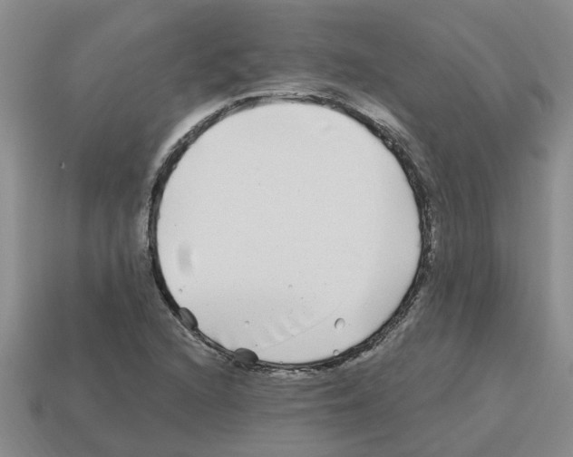 X0000112801216200910021113
