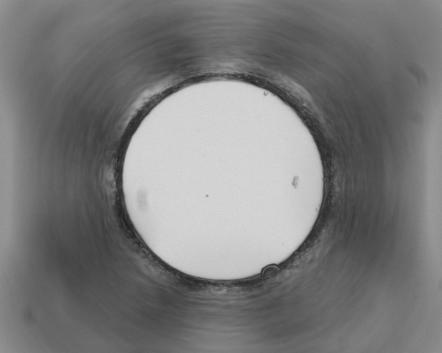 X0000112801218200910021113