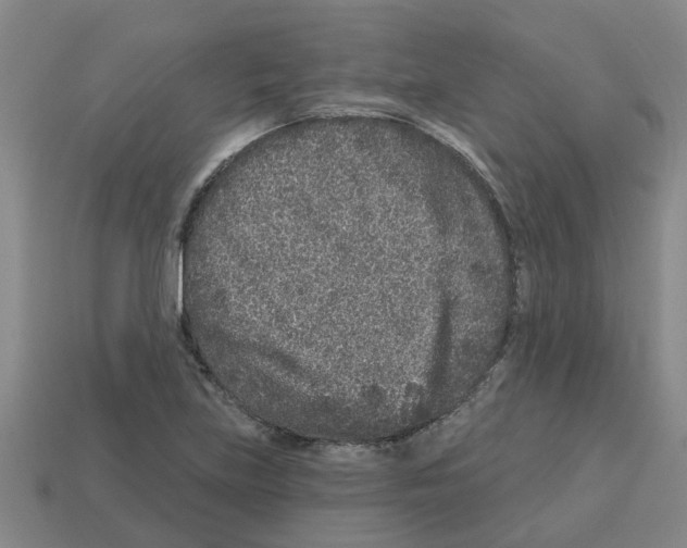 X0000112801219200910021113