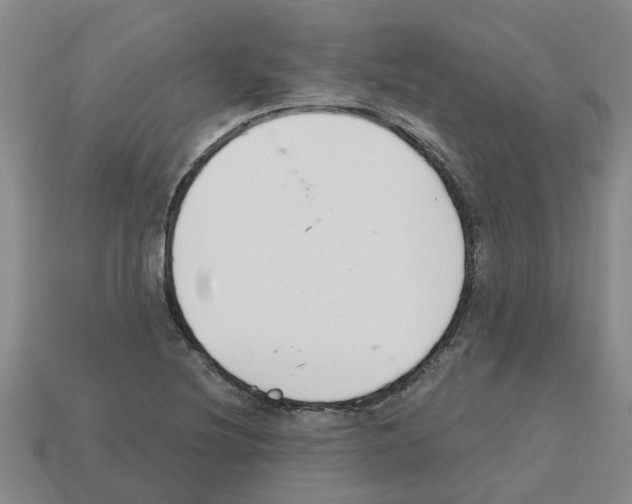 X0000112801220200910021113