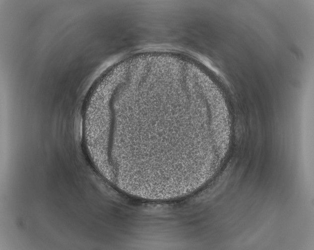 X0000112801221200910021113