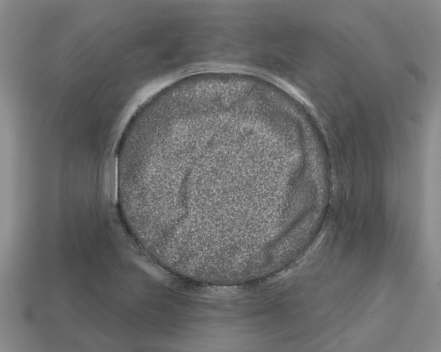 X0000112801223200910021113
