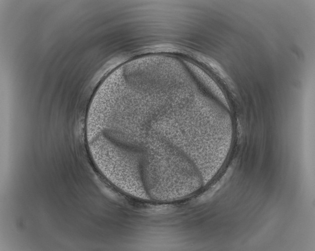 X0000112801225200910021113