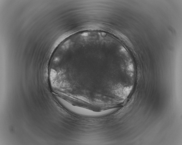 X0000112801226200910021113