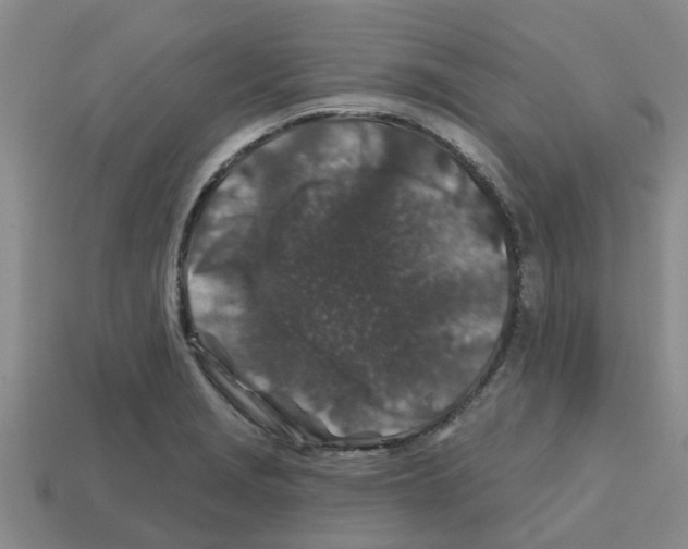 X0000112801229200910021113