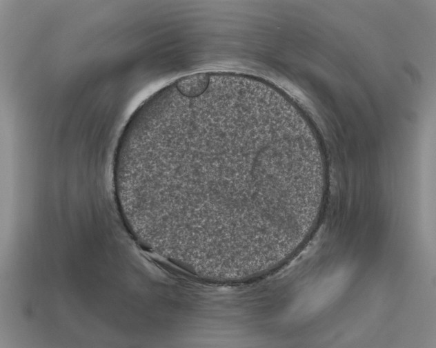 X0000112801230200910021113